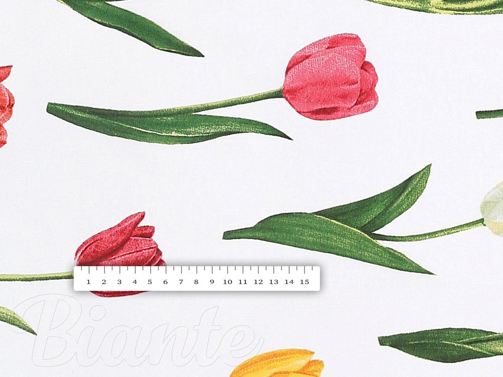 Bavlněná látka/plátno Sandra SA-506 Tulipány na bílém - šířka 220 cm - detail 3 - Biante.cz