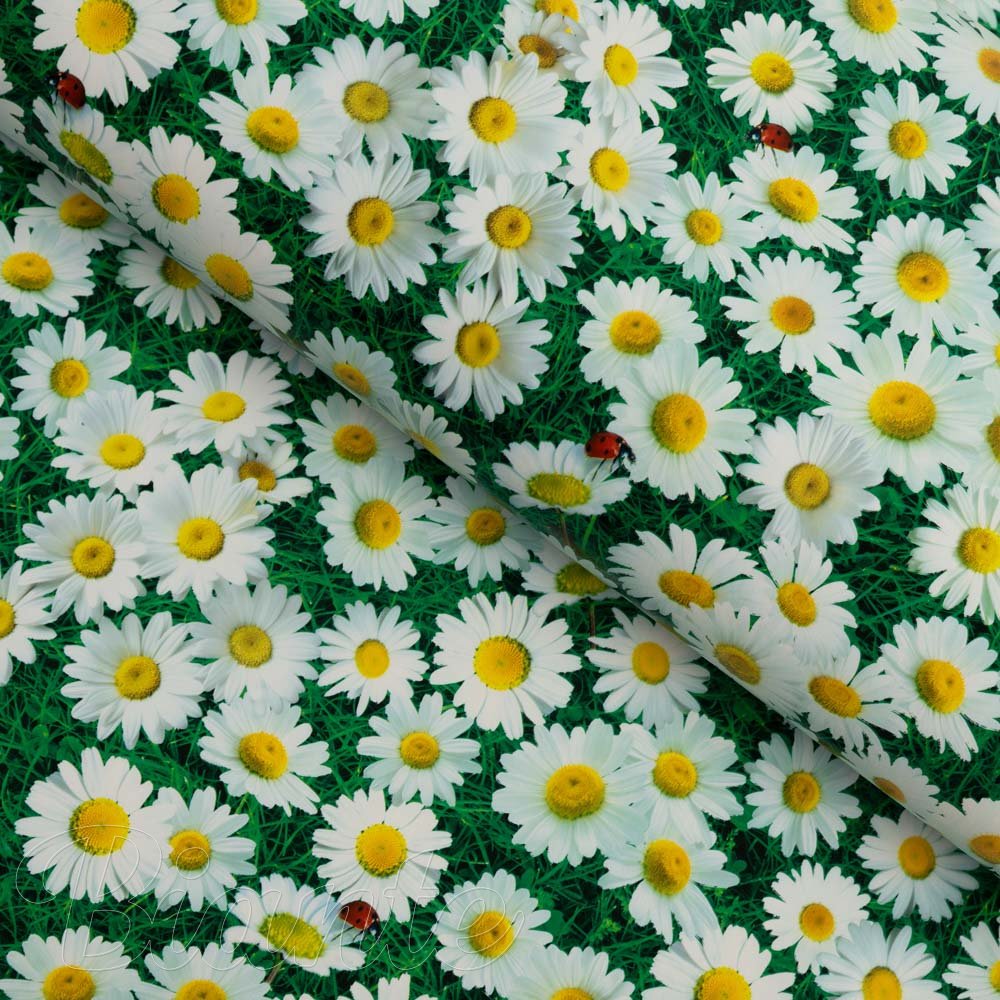 PVC obrus Margaréty na zelenom PV-161 - metráž š. 140 cm - Biante.sk