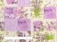 Bavlněná látka/plátno Sandra SA-559 Levandulová zahrada - šířka 220 cm - detail 3 - Biante.cz
