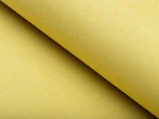 100% zatemňovací látka Blackout BKW-209 Žlutozelená žíhaná - šířka 140 cm - detail 1 - Biante.cz 100% zatemňovací látka Blackout BKW-209 Žlutozelená žíhaná - šířka 140 cm - detail 1 - Biante.cz
