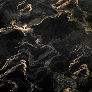 Sametová látka Isabela IBL-021 Zlatý/kouřový mramor na černém - šířka 280 cm - detail 6 - Biante.cz Sametová látka Isabela IBL-021 Zlatý/kouřový mramor na černém - šířka 280 cm - detail 6 - Biante.cz
