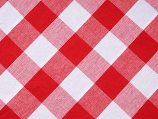 Bavlněná látka Olivia OL-016 Červeno-bílá kostka velká - šířka 150 cm - detail 1 - Biante.cz Bavlněná látka Olivia OL-016 Červeno-bílá kostka velká - šířka 150 cm - detail 1 - Biante.cz