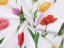 Bavlněná látka/plátno Sandra SA-506 Tulipány na bílém - šířka 220 cm - detail 2 - Biante.cz