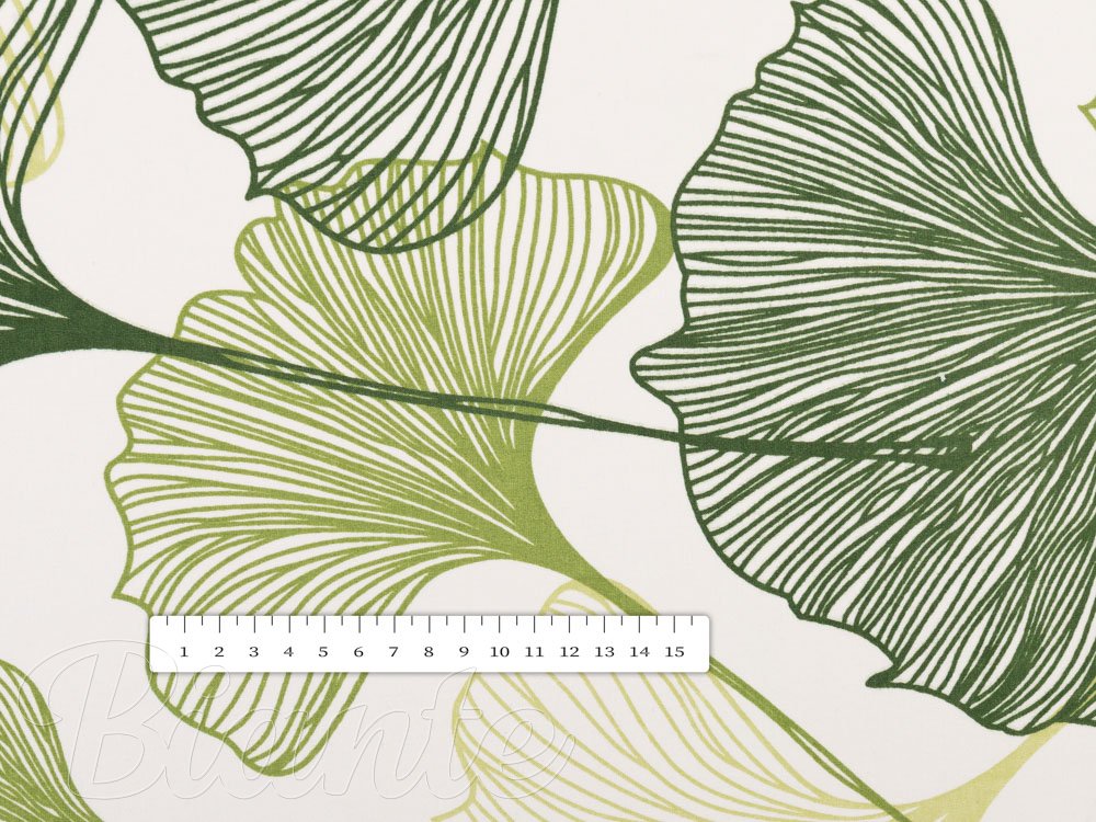 Bavlněná látka/plátno Sandra SA-576 Zelené Ginkgo listy na bílém - šířka 160 cm - detail 3 - Biante.cz