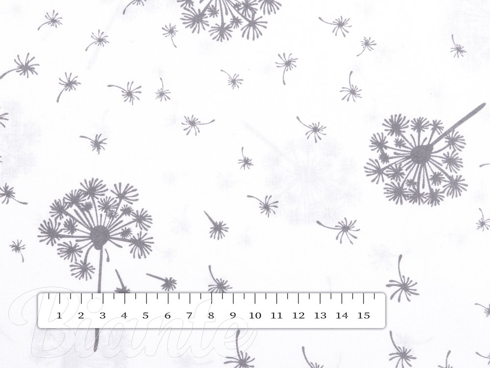 Bavlněná látka/plátno Sandra SA-189 Odkvetlé pampelišky - šířka 160 cm - detail 2 - Biante.cz