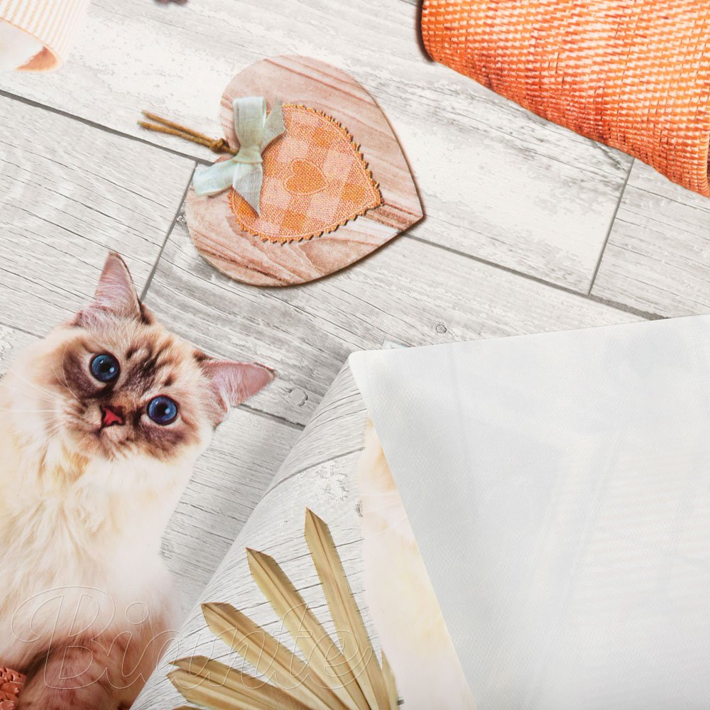 PVC obrus Mačky v košíku PV-215 - metráž š. 140 cm - detail 3 - Biante.sk