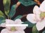 Bavlněná látka/plátno Sandra SA-300 Květy magnolie na černém - šířka 160 cm a 220 cm - detail 3 - Biante.cz