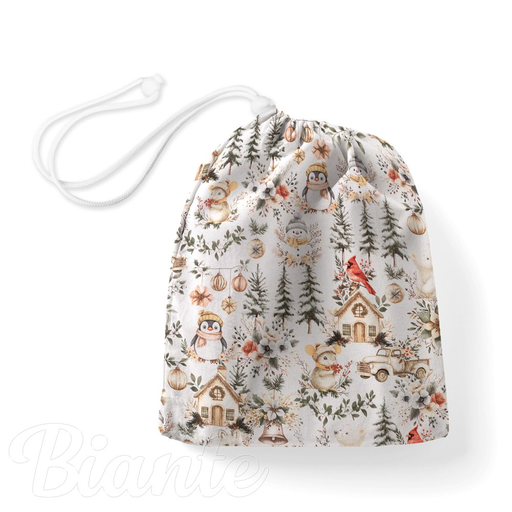 Bavlněný pytlík/sáček na přezůvky Sandra SA-709 Zimní pohádka zeleno-hnědá na bílém - Biante.cz