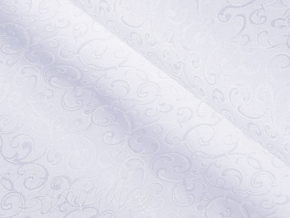 Teflonová látka na ubrusy TF-078 Ornamenty - studená bílá - šířka 160 cm - detail 3 - Biante.cz Teflonová látka na ubrusy TF-078 Ornamenty - studená bílá - šířka 160 cm - detail 3 - Biante.cz