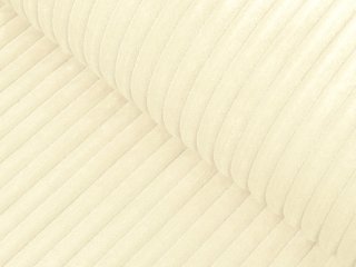 Látka Minky manšestr MKM-009 Světle vanilková - šířka 150 cm - Biante.cz