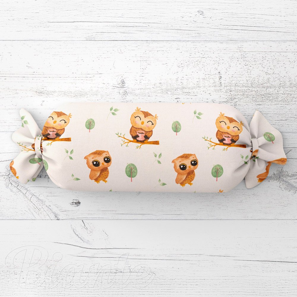 Dětský polštář válec bonbon Sandra SA-616 Sovičky na větvích na bílém - Biante.cz Dětský polštář válec bonbon Sandra SA-616 Sovičky na větvích na bílém - Biante.cz