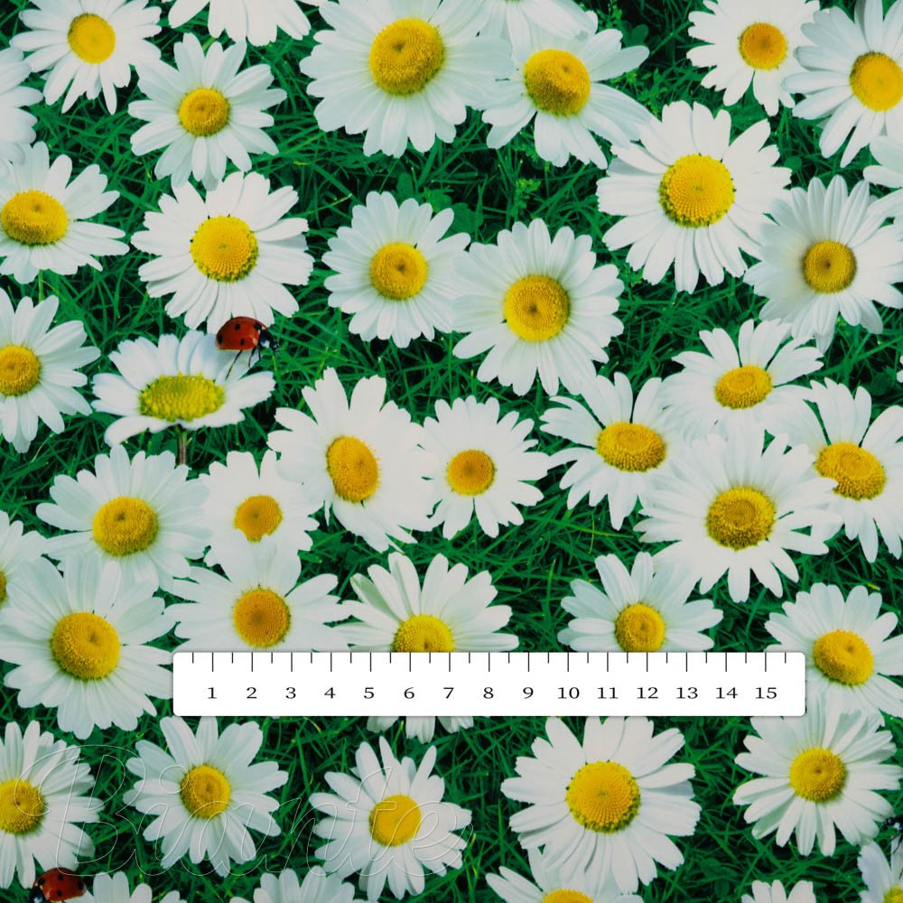 PVC obrus Margaréty na zelenom PV-161 - metráž š. 140 cm - detail 2 - Biante.sk