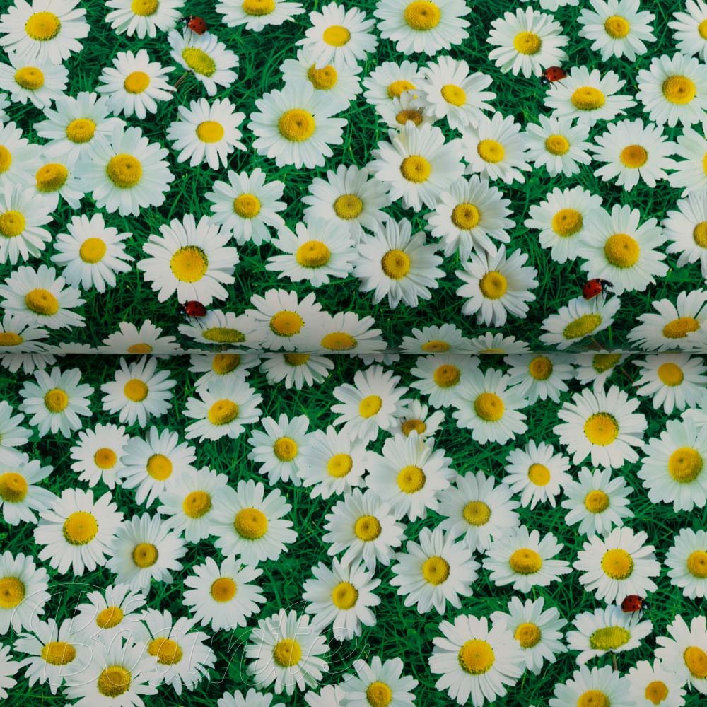 PVC obrus Margaréty na zelenom PV-161 - metráž š. 140 cm - detail 1 - Biante.sk