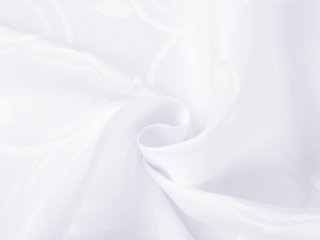 Teflónová látka na obrusy TF-100 Biele ornamenty s lístkami - šírka 155 cm - detail 1 - Biante.sk Teflónová látka na obrusy TF-100 Biele ornamenty s lístkami - šírka 155 cm - detail 1 - Biante.sk
