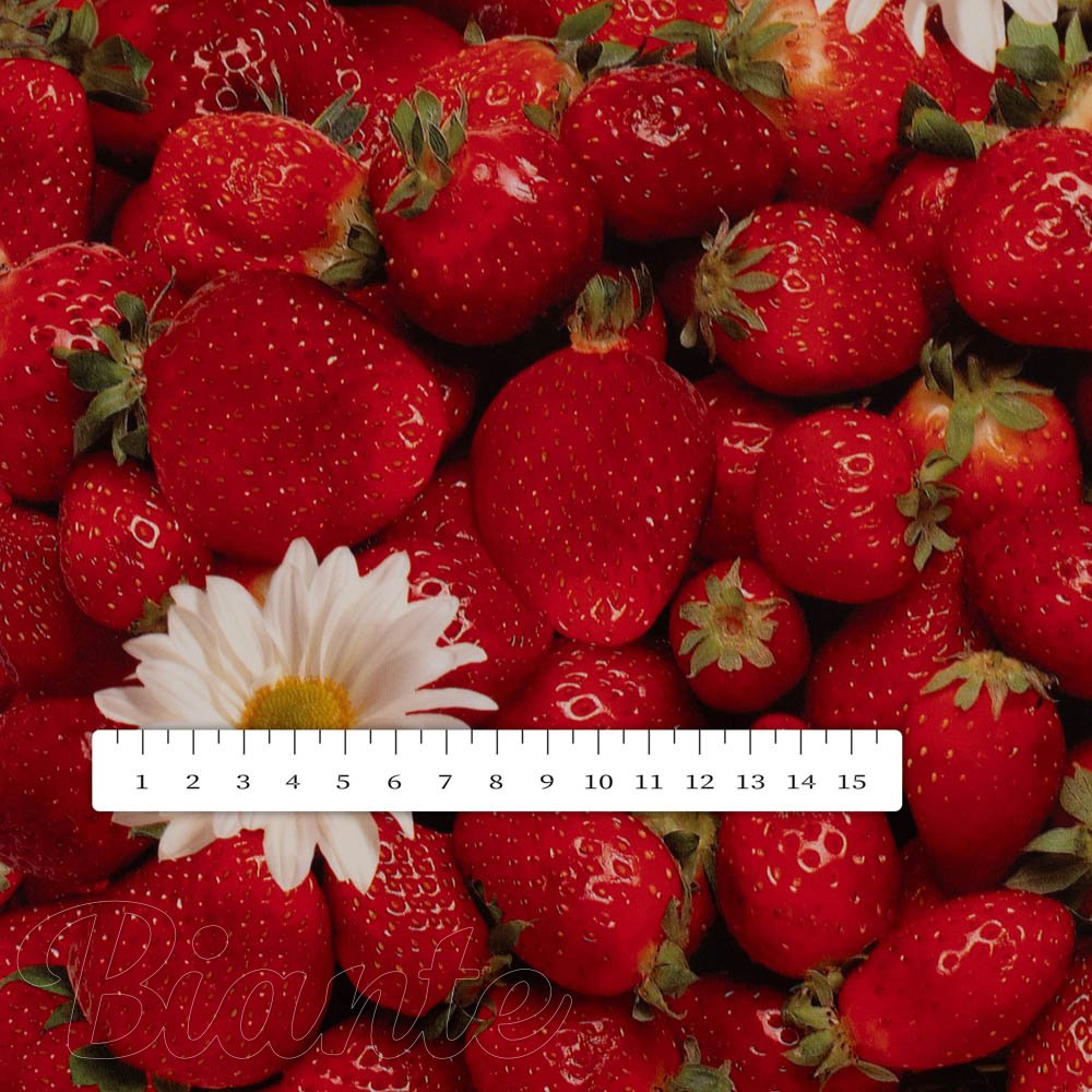 PVC obrus Jahody PV-137 - metráž š. 140 cm - detail 2 - Biante.sk