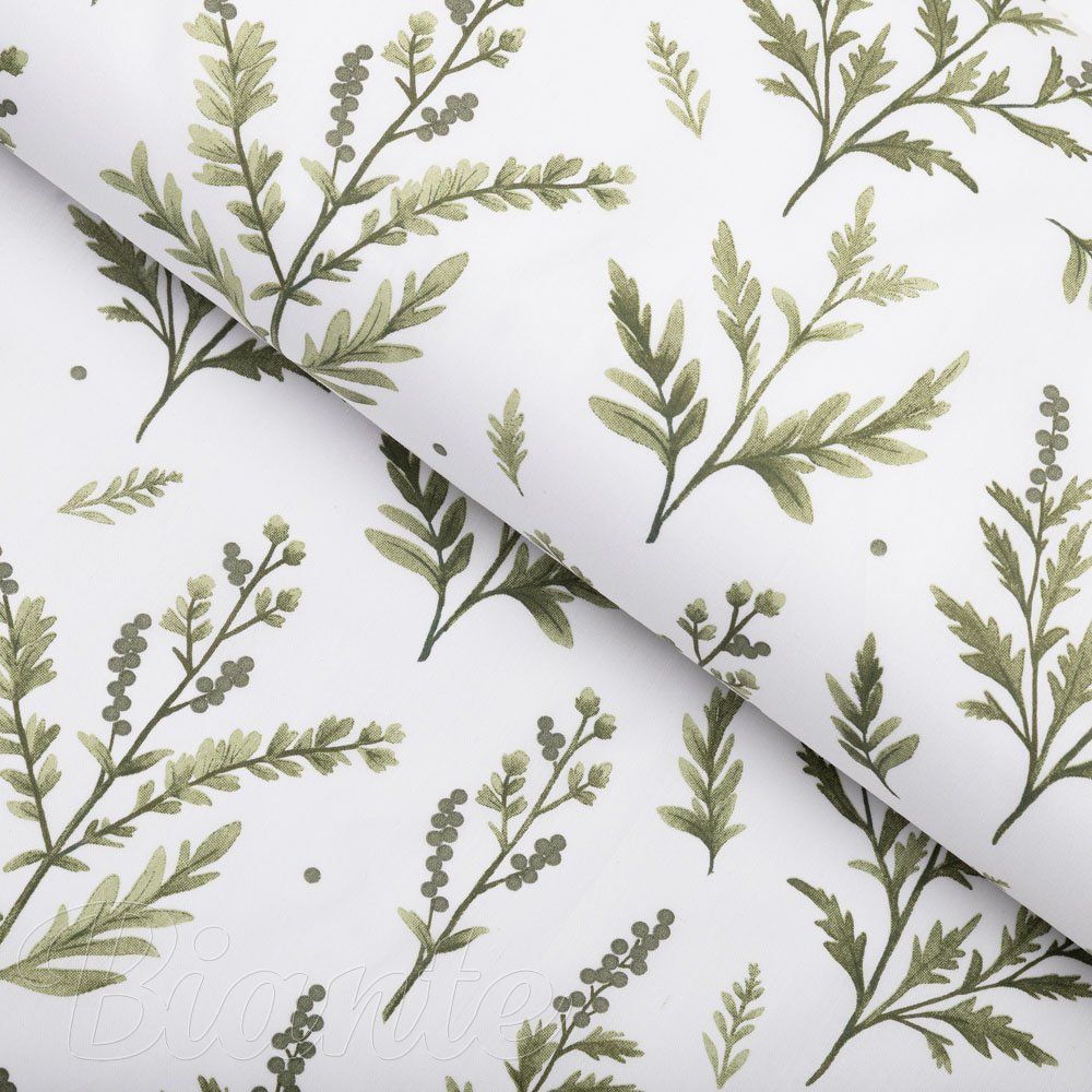 Bavlněná látka/plátno Sandra SA-718 Zelené natě bylinek na bílém - šířka 160 cm - Biante.cz