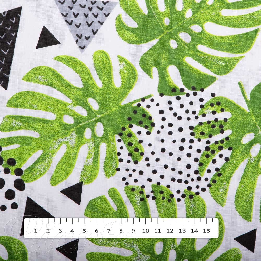 Bavlněná látka/plátno Sandra SA-175 Zelené listy Monstera - šířka 160 cm - detail 2 - Biante.cz