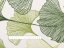 Bavlněná látka/plátno Sandra SA-576 Zelené Ginkgo listy na bílém - šířka 160 cm - detail 3 - Biante.cz