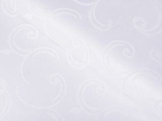 Teflónová látka na obrusy TF-100 Biele ornamenty s lístkami - šírka 155 cm - Biante.sk Teflónová látka na obrusy TF-100 Biele ornamenty s lístkami - šírka 155 cm - Biante.sk